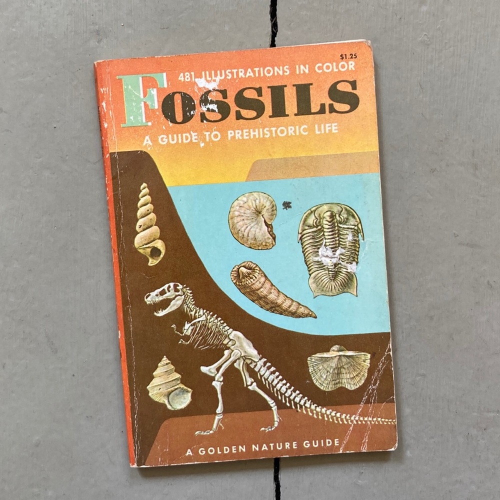 Fossils A Guide to Prehistoric Life Golden Nature Earth Rocks Dinosaurs Science